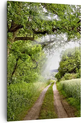 Produktbild von Bild auf Leinwand - Leinwandbild - Einteilig - Pfad Natur Wald Grün - 70x100cm - Wand Bild - Wanddeko - Wandbilder - Leinwanddruck - Wanddekoration - Leinwand bilder - Wandbild - PA70x100-2637