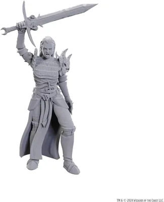 Immagine prodotto di D&D Miniature Marvelose di Nolzur – Blackguard