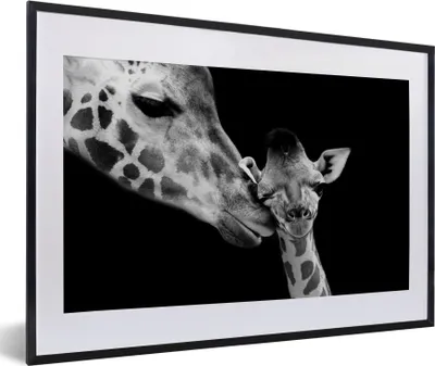 Produktbild von MuchoWow® Gerahmtes Poster Tiere - Schwarz - Weiß - Giraffe - Porträt 60x40 cm - Poster mit Schwarzem Bilderrahmen Wandposter Rahmen Foto Bilder - Schlafzimmer - Plakat in Rahmen - Drucken