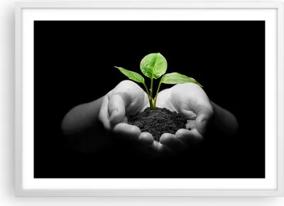 Produktbild von Gerahmtes Poster - Weißer Rahmen - Natur Pflanze Wissenschaft Schutz - 70x50 cm - Wand Bild - Wanddeko - Wandbilder - Wandposter - Bilderrahmen - Bilder - Kunstdruck - Wandbild - P2WAA70x50-2188