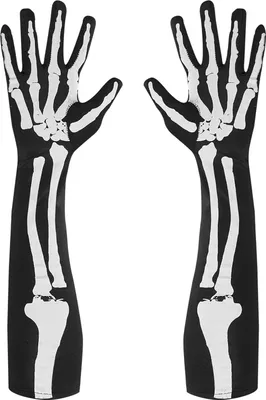 Produktbild von Handschuhe Skelett 50 cm Größe: STD