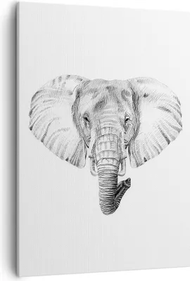 Produktbild von Bild auf Leinwand - Leinwandbild - Einteilig - Elefant Afrika Illustration Kinder - 50x70cm - Wand Bild - Wandbilder - Leinwanddruck - Wanddekoration - Leinwand bilder - Wandbild - PA50x70-3213