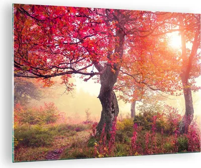 Produktbild von Bilder auf glas - Baum Natur Wiese - 70x50cm - Glasbilder - Wandbilder - Kunstdruck - zum Aufhängen bereit - Wanddekoration aus Glas - Glas Bilder - Wandbild auf Glas - Einteilig - GAA70x50-3658