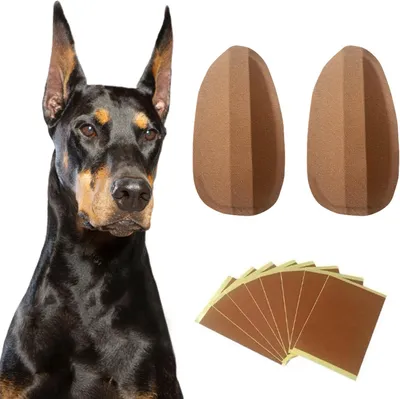 Produktbild von Ohren-Korrekturpflaster, 6x3cm mit Milchkalzium, für Dobermann Stehohren-Unterstützung