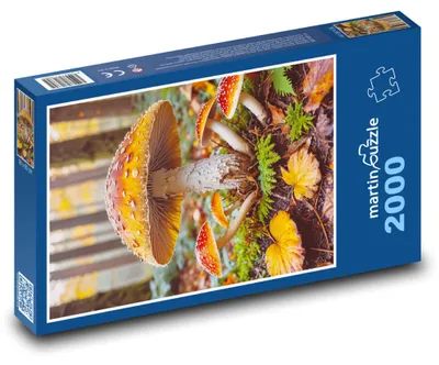 Obrázek produktu pro martinpuzzle - Puzzle 2000 - Houba