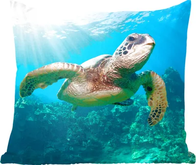 Produktbild von MuchoWow® Zierkissen Sofakissen Wohnzimmer Dekokissen 45x45 cm Schwimmende Schildkröte Fotodruck - Schlafpolster - Polster für das Sofa