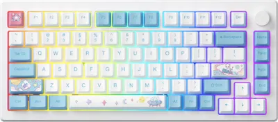 Produktbild von Akko MOD007-HE PC Stellar Journey Magnetische Tastatur USB-C, QWERTY US, RGB, Yellow Magnetic Switch
