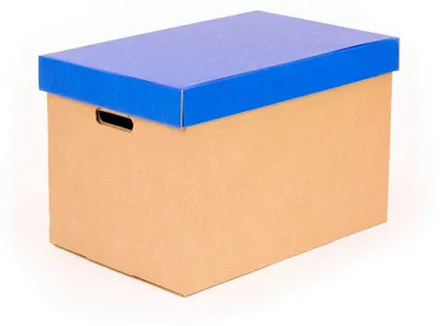 Imagen del producto de Juego de 2 cajas de almacenamiento con tapa – Robustas cajas de cartón azules