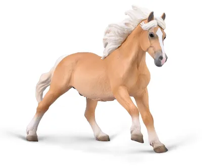Produktbild von Collecta Pferd XL Haflinger Hengst handbemalte Spielfigur