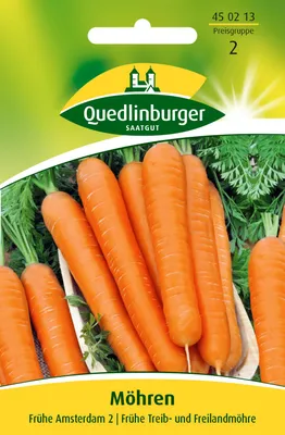 Produktbild von Möhre Frühe Amsterdam 2 | Möhrensamen von Quedlinburger