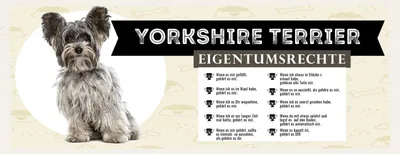 Produktbild von vianmo Blechschild 10x27 cm Hund Yorkshire Terrier Eigentumsrechte