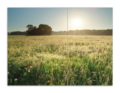 Produktbild von Wallario Herdabdeckplatte aus Glas, Größe 70 x 52 cm 2-teilig, Motiv Wiese im Licht der Abendsonne