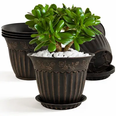 Produktbild von Set von 6 Blumentöpfen mit Untersetzer 16,5 cm