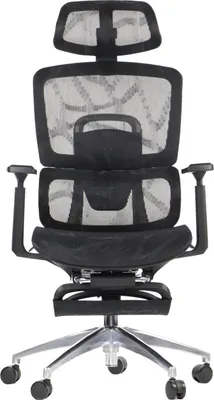 Image de Chaise de bureau ergonomique pivotante ErgoNew A1F, base en aluminium, accoudoirs réglables, appui-tête, support lombaire et repose-pieds, rallonge d'assise, noir