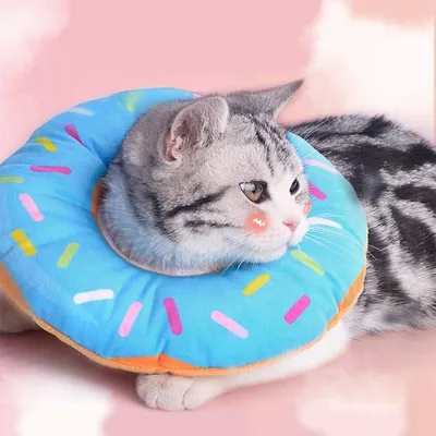 Produktbild von Katzenkragen - Katzenkragen - Kragen für Katzen - Schutzkragen für Katzen - Kragen für Katzenoperationen