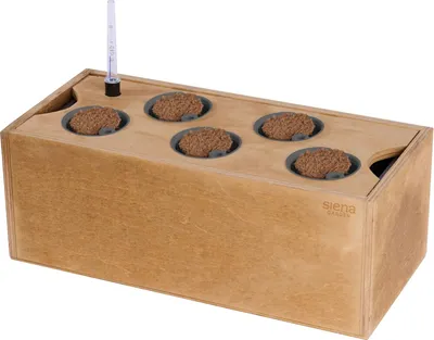 Produktbild von SIENA GARDEN Hydroponikgefäß aus Holz