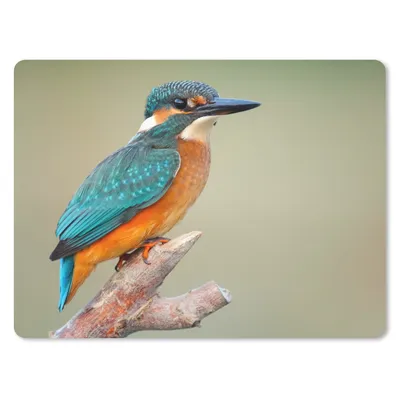 Produktbild von MuchoWow® Mauspad Mousepad Vogel - Eisvogel - Zweig 23x19 cm - Mousepads - Maus Mat - Pad - Mausunterlage - Schreibtischunterlage - Mauspad
