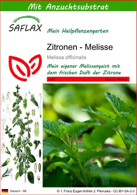 Produktbild von SAFLAX - Zitronen - Melisse - Melissa officinalis - 150 Samen - Mit keimfreiem Anzuchtsubstrat