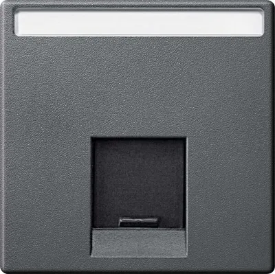 Produktbild von Merten Zentralplatte 1fach MEG4573-0414