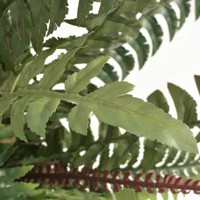 Produktbild von vidaXL Künstliche Farnpflanze mit Topf 60 cm Grün