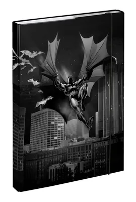 Obrázek produktu pro BAAGL Desky na školní sešity A4 Batman Dark City