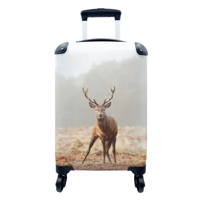 Produktbild von MuchoWow® Koffer Handgepäck Trolley Rollkoffer Kleine Reisekoffer mit 4 Rollen - Hirsche - Wald - Nebel - Cabin Size < 55x40x23 cm & 55x40x20 cm - Fotokoffer - Kabinenkoffer - Boardgepäck - Reise-Box - Reisekoffer - Reisegepäck - Koffer mit Bild - Trolley für Kinder