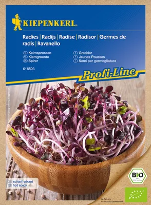 Artikelbild 1 von 'BIO Keimsprossen Radies rot' aus der Kategorie Keimsprossen