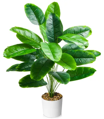 Image de Bananiers artificiels de 80 cm avec 24 feuilles, plantes artificielles réalistes pour la décoration d'appartements, de bureaux et de mariages, grandes plantes vertes pour l'intérieur et l'extérieur, faciles d'entretien