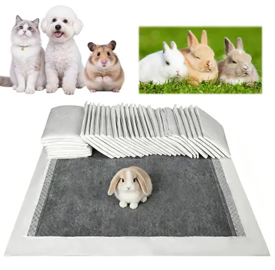 Image de Coussinets absorbants pour rongeurs, tapis jetables pour animaux de compagnie