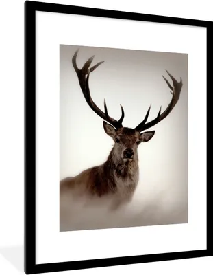 Produktbild von MuchoWow® Gerahmtes Poster Porträt - Hirsch - Geweih 60x80 cm - Poster mit Schwarzem Bilderrahmen Wandposter Rahmen Foto Bilder - Wohnzimmer - Dekorationen - Prämie