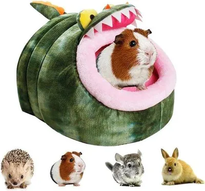 Produktbild von Famanu Kleines Tierbett - Plüsch Krokodilbett für Hamster, Meerschweinchen, Chinchillas, Kaninchen