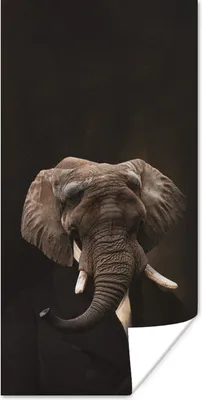 Produktbild von MuchoWow® Poster Elefant - Tiere - Kunst 60x120 cm - Wandschmuck