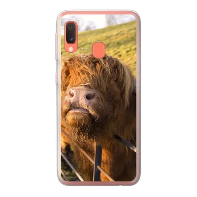 Produktbild von MuchoWow® Handyhülle Schutzhülle Hülle für Samsung Galaxy A20e Scottish Highlander - Zaun - Gras Silikon Softcase Handy Hülle - Abdeckung