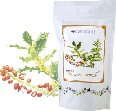 Produktbild von Maytenus ilicifolia - Tee, 150 g