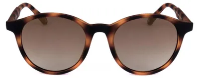 Produktbild von Ted Baker Sonnenbrille TB1503 173 50 19 145