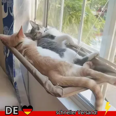Produktbild von Winter Katze Fenster Hängen Hängematte Bett Saugnapf Platzsparend Alle