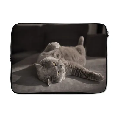 Produktbild von MuchoWow® Laptop Hülle 14 ZollTier - Katze - Grau Laptoptasche - Laptoptasche - Stoßsicher - Schutzhaube