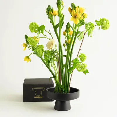 Immagine prodotto di Hanataba - Ciotola Ikebana Ø 16 cm, nero
