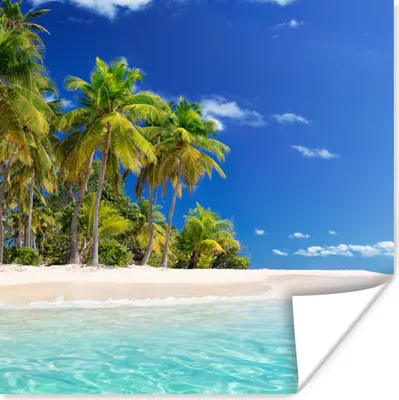 Produktbild von MuchoWow® Poster Strand - Meer - Palme - Sonne - Sommer 50x50 cm - Wohnzimmerdekoration
