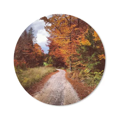 Produktbild von MuchoWow® Mauspad Mousepad Herbst - Herbstblätter - Weg - Wald 30x30 cm - Mousepads - Maus Mat - Pad - Mausunterlage - Tischunterlage - Schreibtischmatten
