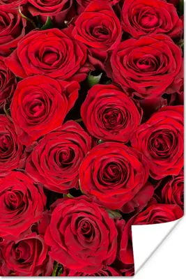 Produktbild von MuchoWow® Poster Rosen - Blumen - Blumenstrauß 40x60 cm - Plakate für die Wand - Poster Babyzimmer