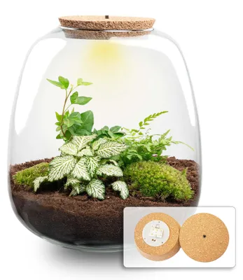 Produktbild von -  25 cm - Ø23cm