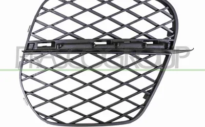 Produktbild von PRASCO Lüftungsgitter Grill Stoßfänger für BMW X5 (E70)
