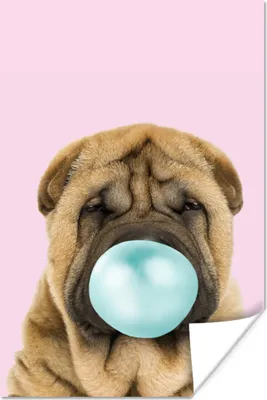 Produktbild von MuchoWow® Poster Hund - Kaugummi - Rosa - Blau - Mädchen - Kinder 120x180 cm - Kunstposter