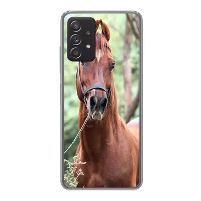 Produktbild von MuchoWow® Handyhülle Schutzhülle Hülle für Samsung Galaxy A33 5G Pferd - Wald - Halfter Silikon Softcase Handy Hülle - Kartenhalter