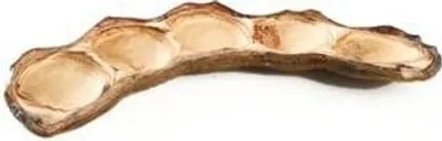 Produktbild von Velvet Bean Natur, Größe ca. 7-14 cm | Mucuna pruriens