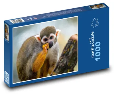 Zdjęcie produktu dla martinpuzzle - Puzzle 1000 elementów - Mała małpka