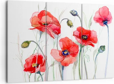 Produktbild von Bild auf Leinwand - Leinwandbild - Blume Mohn Wiese - 105x70cm - Wand Bild - Wanddeko - Wandbilder - Leinwanddruck - Bilder - Kunstdruck - Wanddekoration - Leinwand bilder - Wandkunst - CE105x70-3584