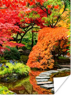 Produktbild von MuchoWow® Poster Bäume - Japanisch - Steine - Weg - Natur 90x120 cm - Wohnzimmer