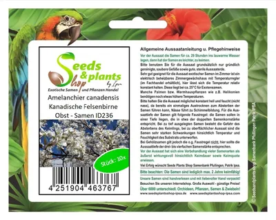 Immagine prodotto di 10x Amelanchier canadensis Frutti di pera canadese - semi ID236
